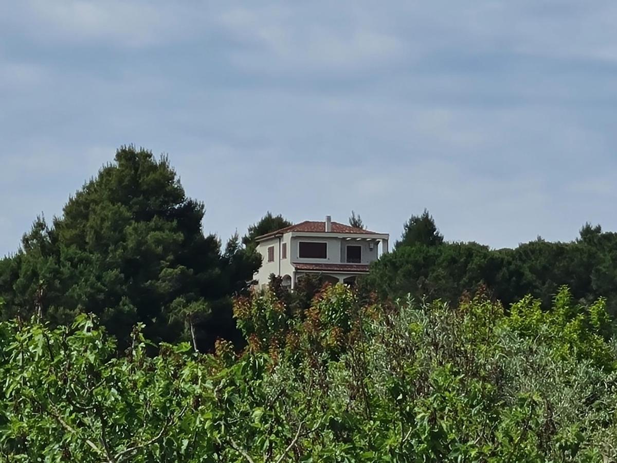 Alghero - House With Panoramic View Immersed In Full Nature 외부 사진